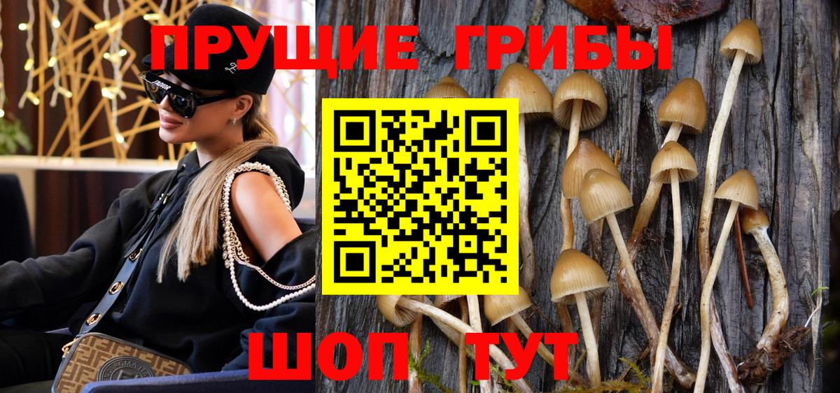 Гусиноозёрск  Псилоцибиновые грибы Magic Shrooms  Вход с VPN  Галлюциногенные грибы Psilocybe 