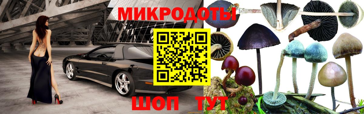 Галлюциногенные грибы Magic Shrooms Гусиноозёрск